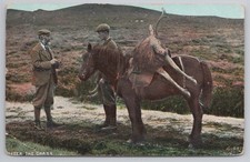 Scottish Hunting Scene "After The Chase" Stag Ghillie Pony C Reid Photo c1906