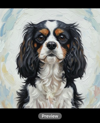 Tri cavalier king charles - tri,
