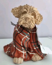 NEXT Charlie Cockapoo Dog