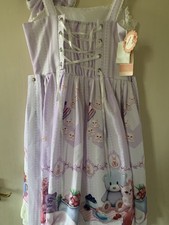 Sweet Lolita Dress Unworn With