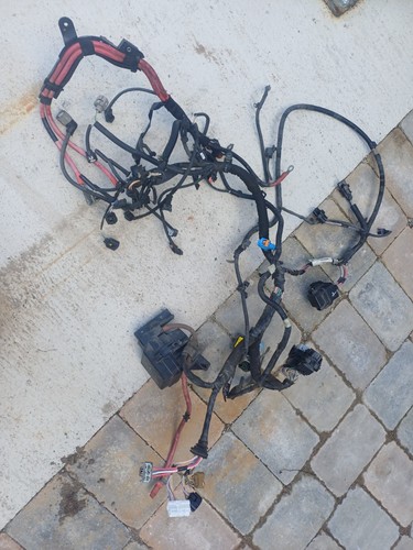 Renault scenic wiring loom - scenic,