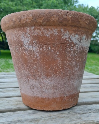 Antique sankey bulwell - sankey,