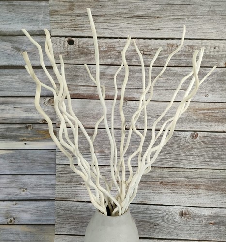 Inch dried natural curly - dried,