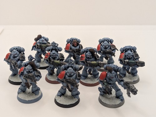 Space wolves grey hunters - -,