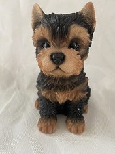 Yorkshire Terrier Dog Pup By