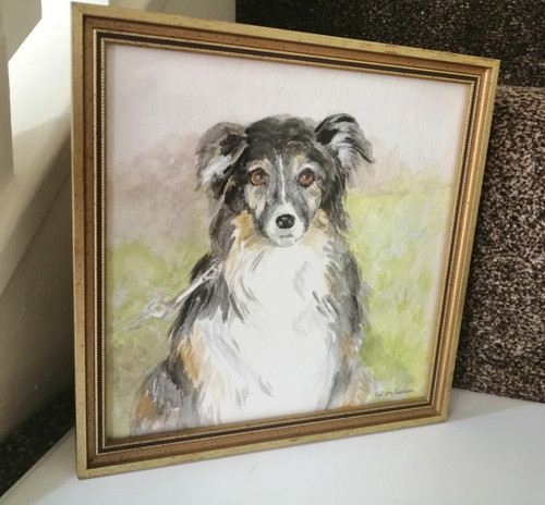Collie dog watercolour - watercolour, by
