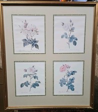 P J Redoute Les Roses 4