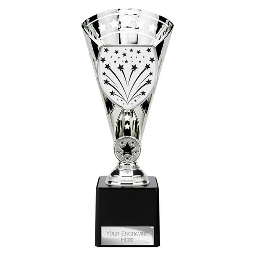 Silver multisport presentation - silver,