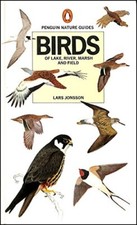 Birds lake river marsh - birds,
