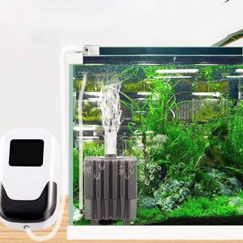 Aquarium small fish tank air - fish,