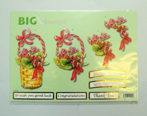 Birthday occasions floral - birthday/occasions, big