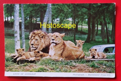 Postcard used the - -, of