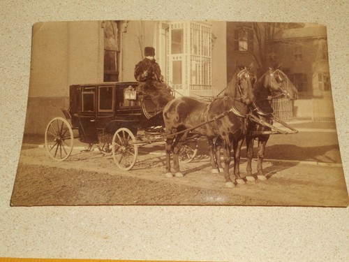 Victorian stagecoach horse - stagecoach,