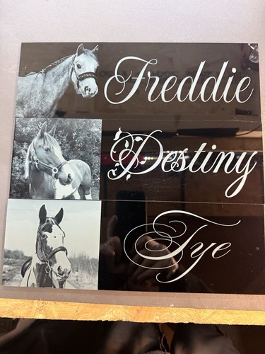 Horse stable door - horse, name