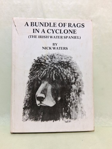 Bundle rags a cyclone - in,
