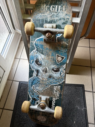 Vintage mcgill skull - vintage, "skull
