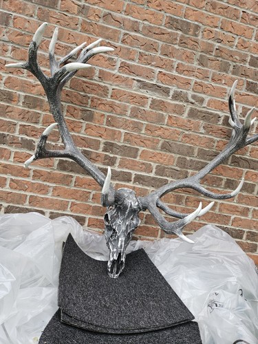 English red deer stag - red, skull