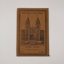 Fossil Fishes postcards