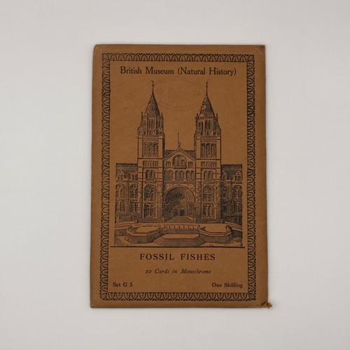 Fossil fishes postcards - fossil,