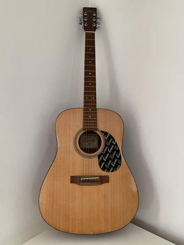 Encore w255 acoustic - w255,