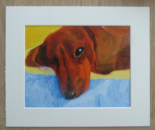 David hockney sleeping dogs - sleeping,