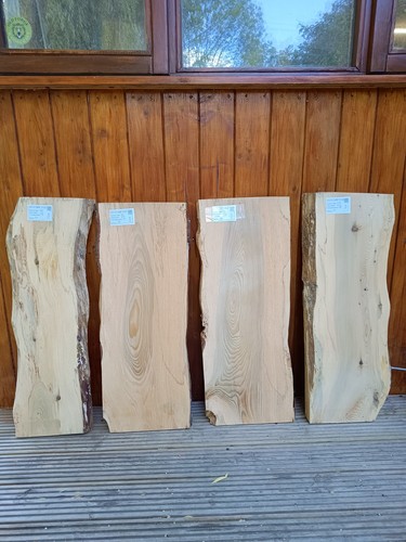 Cedar lebanon air - cedar, of