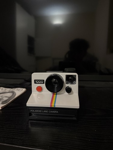 Polaroid 1000 land camera - land,
