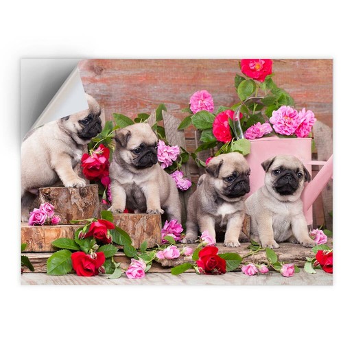 Vinyl sticker pug dog - sticker, a4