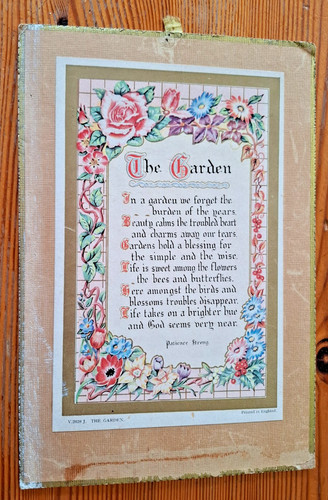 The garden patience - the,
