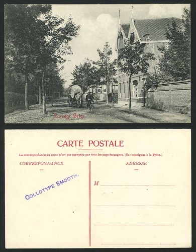 Paysage belge cyclist bicycle - cyclist,
