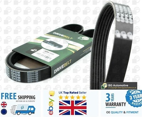 Ribbed belt for - ribbed,
