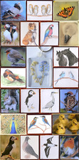 Keyring / Fridge Magnet - Real Flower / Animal Picture Bird Wildlife Nature Gift