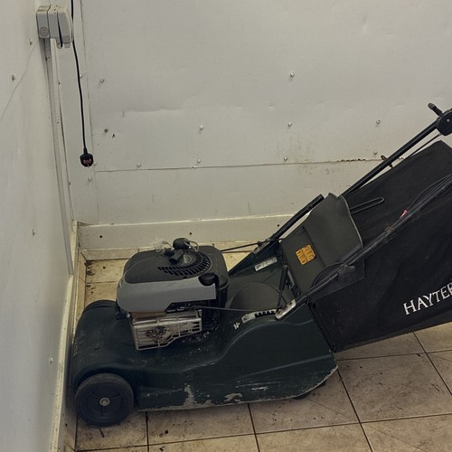 Hayter petrol rotary - petrol,