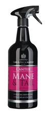 Carr Day Martin Canter Mane