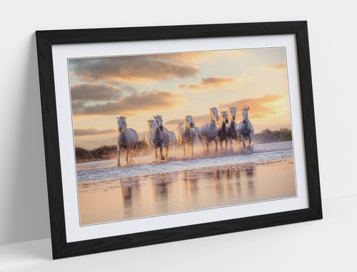 White horses running - white, at