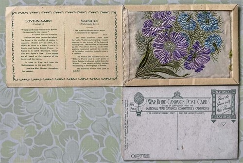 Kensitas wix postcard size - postcard,