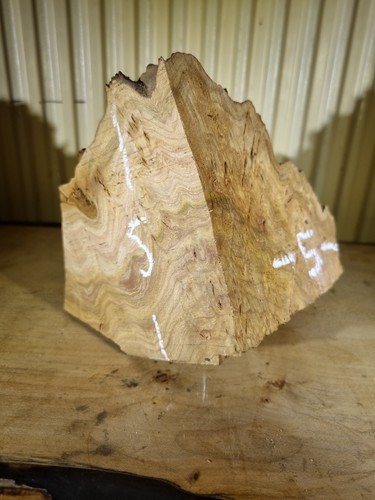 Elm burl offcut block - offcut,