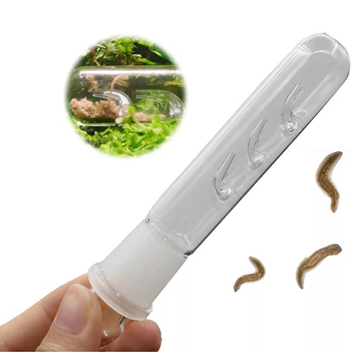 5pcs clear snail trap - 1-5pcs,