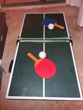 Professional Tennis Table Ping