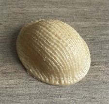 Little Big Man Palitoy Madel