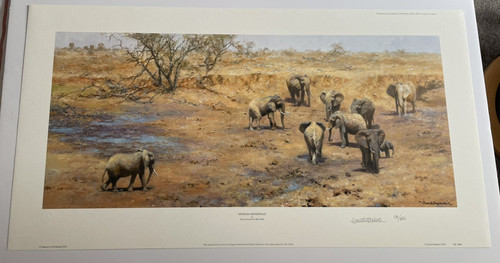 African waterhole david - african,