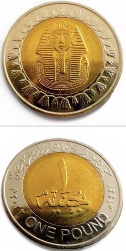 Shiny egyptian one pound - pound, coin