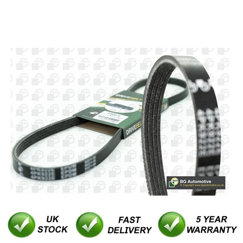 Drive belt sjr - sjr, s-max