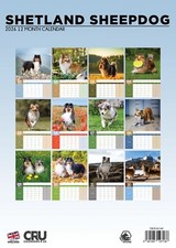 Shetland Sheepdog Dog 2026 A3 Calendar
