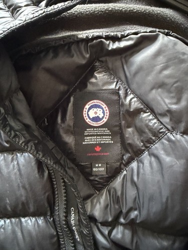Canada goose hybridge - canada,