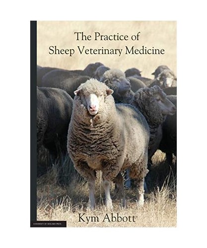 The practice sheep - the,