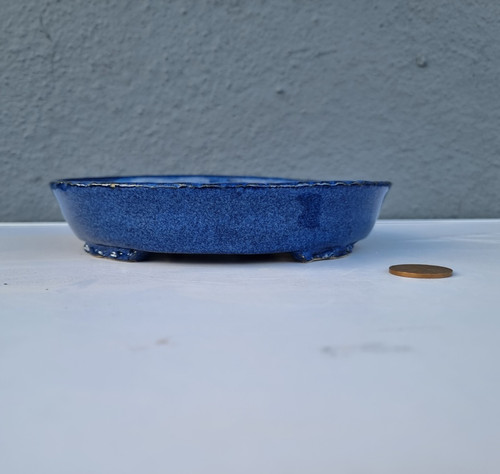 Shallow blue oval bonsai - blue,