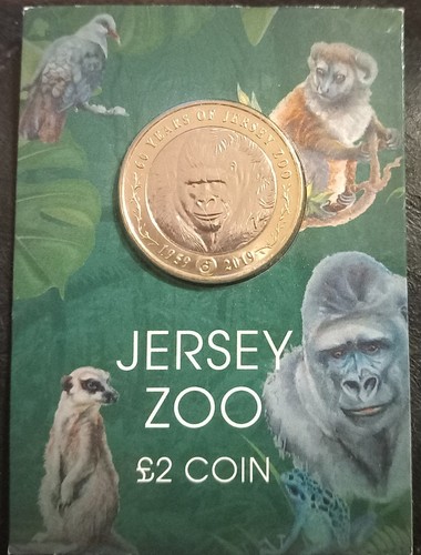 2019 jersey two pound - two,