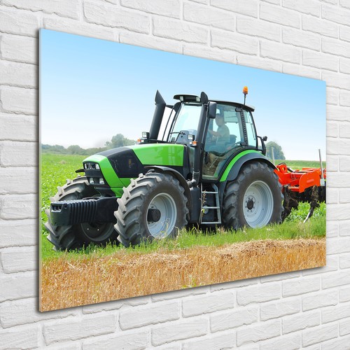 Tulup glass print wall - tulup,