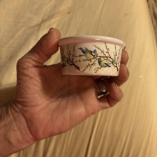 Portmeirion England Birds Of